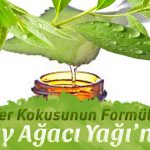 Fırın Temizlemenin Pratik Yolu