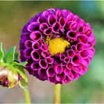 Mutfak Temizliği Yaparken Dikkat! Edilmesi Gereken Yerler