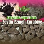 Evde Probiyotik Peynir Tarifi