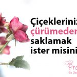 Dünyanın En Kolay ve Pratik Sade Kek Tarifi!